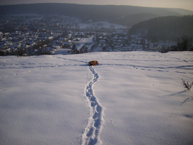 2010-02-15/DSCI5822.JPG