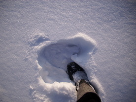 2010-02-15/DSCI5823.JPG