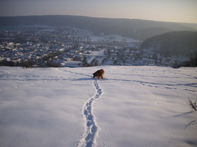 2010-02-15/DSCI5825.JPG