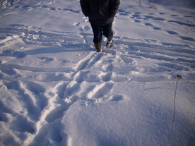 2010-02-15/DSCI5827.JPG