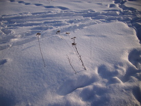 2010-02-15/DSCI5828.JPG