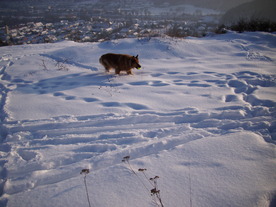 2010-02-15/DSCI5829.JPG