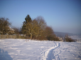2010-02-15/DSCI5830.JPG