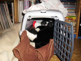 2010-02-15/DSCI5832.JPG