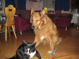 2010-03-21/DSCI5837.JPG