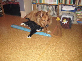 2010-03-21/DSCI5839.JPG