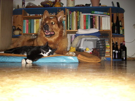 2010-03-21/DSCI5840.JPG