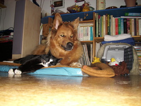 2010-03-21/DSCI5841.JPG