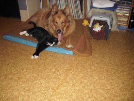 2010-03-21/DSCI5842.JPG