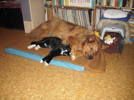 2010-03-21/DSCI5843.JPG