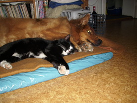 2010-03-21/DSCI5845.JPG