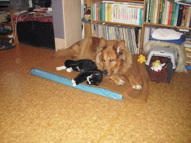 2010-03-21/DSCI5849.JPG