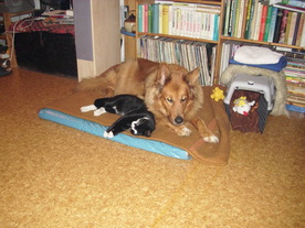 2010-03-21/DSCI5850.JPG