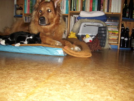 2010-03-21/DSCI5851.JPG