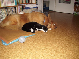 2010-03-21/DSCI5852.JPG