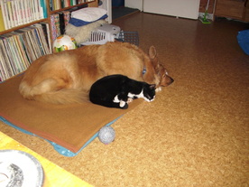 2010-03-21/DSCI5853.JPG