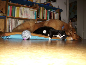 2010-03-21/DSCI5855.JPG