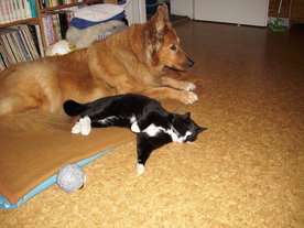2010-03-21/DSCI5857.JPG