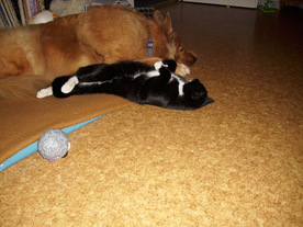 2010-03-21/DSCI5860.JPG