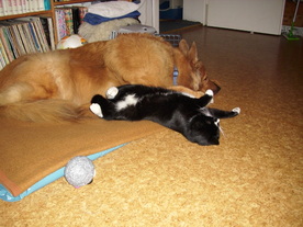 2010-03-21/DSCI5861.JPG