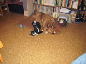 2010-03-21/DSCI5862.JPG