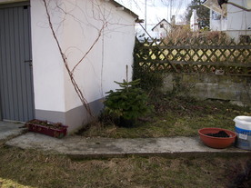 2010-03-21/DSCI5869.JPG