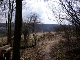 2010-03-21/DSCI5871.JPG