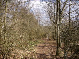 2010-03-21/DSCI5872.JPG