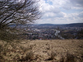 2010-03-21/DSCI5874.JPG
