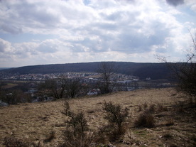 2010-03-21/DSCI5875.JPG