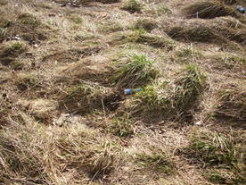 2010-03-21/DSCI5878.JPG