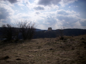 2010-03-21/DSCI5880.JPG