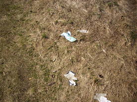 2010-03-21/DSCI5881.JPG