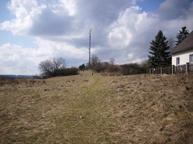 2010-03-21/DSCI5882.JPG