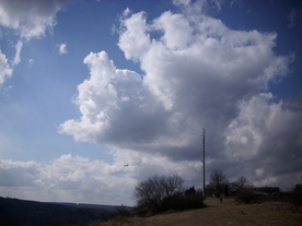 2010-03-21/DSCI5884.JPG
