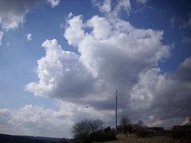 2010-03-21/DSCI5885.JPG