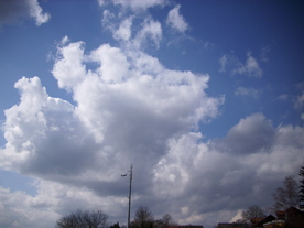2010-03-21/DSCI5886.JPG