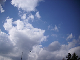 2010-03-21/DSCI5887.JPG