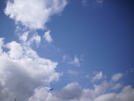 2010-03-21/DSCI5888.JPG