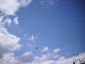 2010-03-21/DSCI5889.JPG