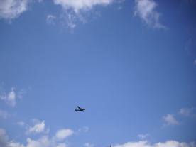 2010-03-21/DSCI5890.JPG