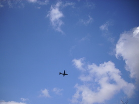 2010-03-21/DSCI5891.JPG