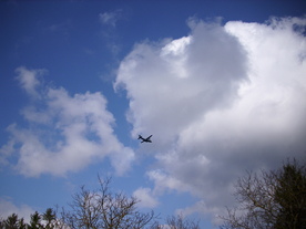 2010-03-21/DSCI5892.JPG