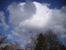 2010-03-21/DSCI5893.JPG