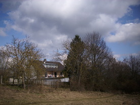 2010-03-21/DSCI5897.JPG