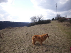 2010-03-21/DSCI5913.JPG