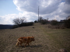 2010-03-21/DSCI5915.JPG