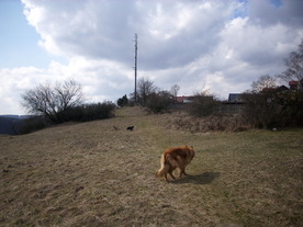 2010-03-21/DSCI5916.JPG