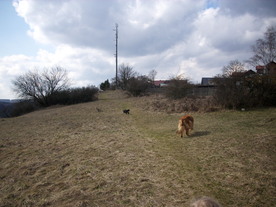 2010-03-21/DSCI5917.JPG