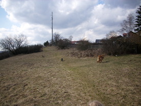 2010-03-21/DSCI5918.JPG